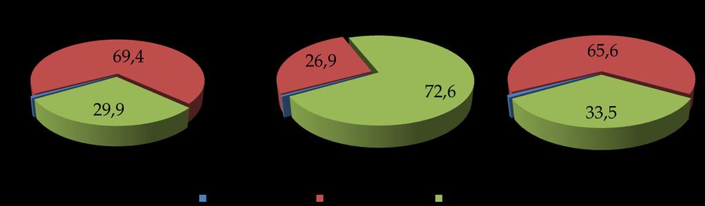 (1,2%). Nella fascia oraria diurna 06-09 si è registrata una percentuale di incidentalità stradale pari al 4,9% e la maggior percentuale dell indice di mortalità (6,3%).