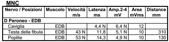 polifasiche) in assenza di attività spontanea registrabile, a carico dei muscoli esaminati in arto inferiore destro Test