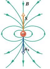 Momento magnetico di spin I materiali magnetici devono la loro proprietà agli elettroni.