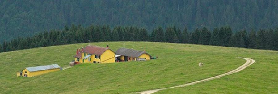 AGRICOLA BASSO MARIO Malga Pian di Granezza Lusiana Via Bettinardi, 10 36050 BRESSANVIDO (VI) Tel.