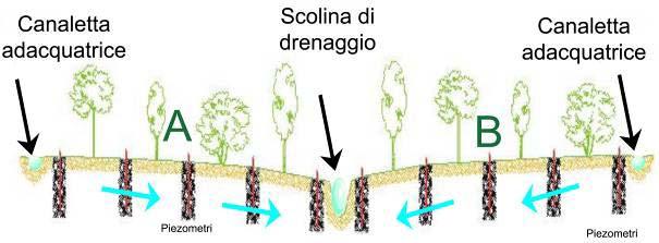 SITO SPERIMENTALE 4% slope Scolina adacquatrice Scolina drenaggio Scolina adacquatrice La baulatura del