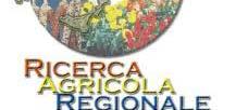 Progetti Interregionali «Innovazione e