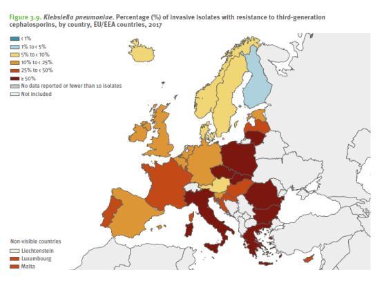 Registro Regionale delle Resistenze Batteriche agli Antibiotici della Regione Friuli Venezia Giulia Confronto con i dati europei EARS-ECDC Klebsiella ESBL positiva (multiresistente, in particolare a