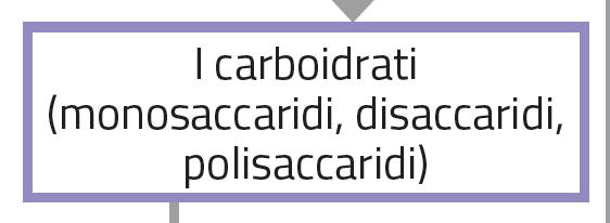 o glucidi sono costituiti da carbonio, idrogeno e ossigeno. Vengono classificati in glucidi semplici o zuccheri (monosaccaridi e disaccaridi) e glucidi macromolecolari (.