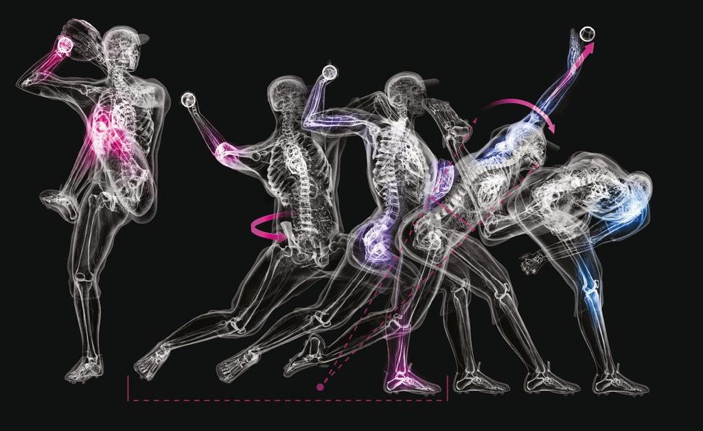 I movimenti fondamentali Abduzione, adduzione, flessione, estensione, supinazione, pronazione, rotazione I muscoli