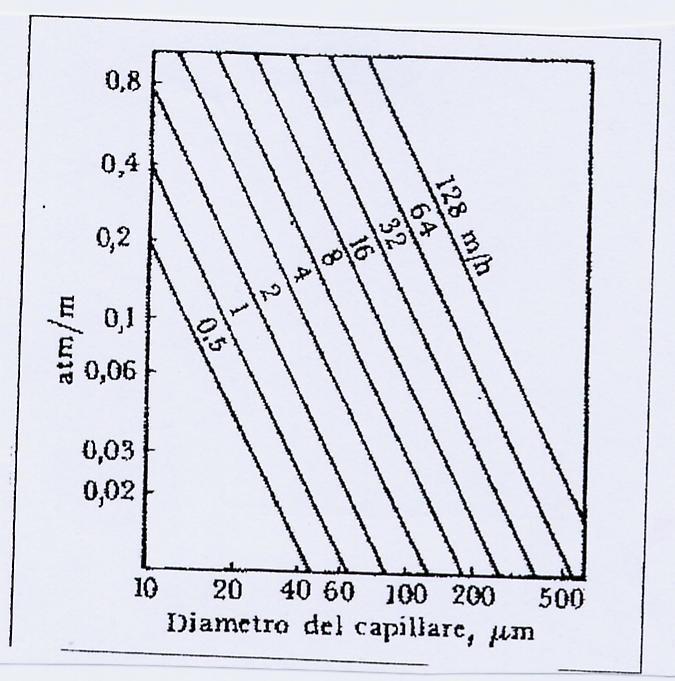 Relazione che intercorre fra: Gradiente di potenziale idrico e velocità di trasporto Per la maggior parte degli alberi sono richiesti gradienti di potenziale idrico nell intervallo: 0,05< Ψt < 0,2