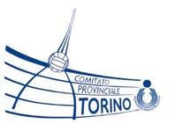 INDIZIONE CAMPIONATO di PRIMA DIVISIONE MASCHILE 2019/2020 La Federazione Italiana Pallavolo indice e la Commissione Organizzativa Gare di Torino organizza il campionato di Prima Divisione Maschile.