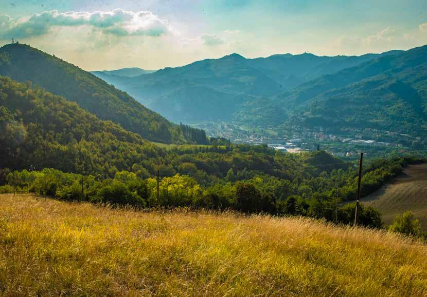 TERRITORIO Abbiamo deciso di mettere radici in un territorio colpito dallo spopolamento e dalla crisi