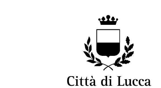 Bando di concorso per l ideazione del logo del Consiglio Comunale di Lucca ALLEGATO A 1.