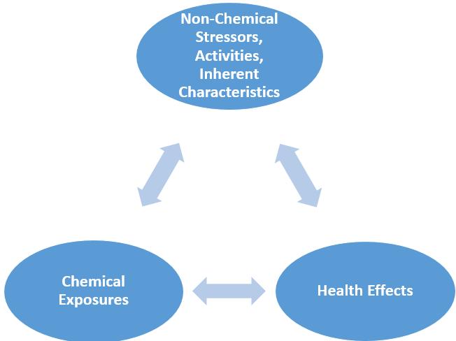 Chemical exposures and health effects are influenced and modified by non-chemical stressors,
