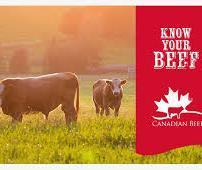 Il caso Comunità europee Carne bovina dal Canada (1981) Con Regolamenti del 1979, le Comunità europee introdussero un contingente tariffario, in esenzione di dazio, per le carni bovine alimentate con