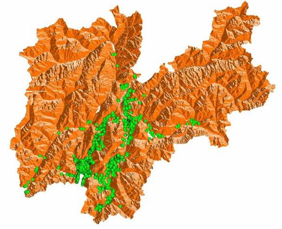 3. RISULTATI Diffusione del cipresso nelle aree di studio (circa 15000 individui in 1917 gruppi) Base cartografica: