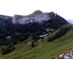 Riserve naturali. Riserva guidata di Cornapiana. Istituita nel 1972, è situata sul gruppo del Monte Baldo, nel Trentino meridionale.