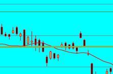 Dax 0,4 0,35 0,3 Rendimento 10 anni Germania Il tasso di rendimento di titoli obbligazionari di stato Ger 10 anni passa da 0,25 della scorsa settimana a 0,26 0,25 0,2 13.500 13.000 DAX 12.500 12.