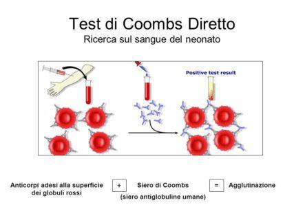 Il test di Coombs indiretto viene eseguito prima di una procedura medica che prevede un eventuale scambio di sangue tra due pazienti (quale una trasfusione o la gravidanza).