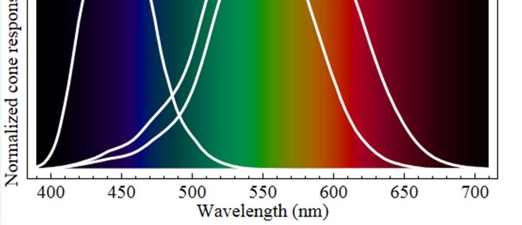 (positiva o negativa) di tre colori spettrali