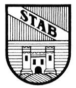 COMUNE DI STABIO MUNICIPIO Stabio, 3 luglio 2019 Al CONSIGLIO COMUNALE di S t a b i o Risoluzione municipale no. 1538 del 01.07.