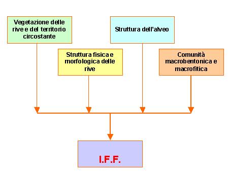 Esempio di schema del processo di classificazione secondo l Indice I.F.F. L ambito di applicazione dell I.F.F. comprende gli ambienti d acqua corrente montani e di pianura (di ogni ordine e grandezza, ma con acque fluenti).
