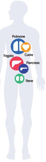 COSA SI PUÒ DONARE Si ricorre al trapianto quando una grave insufficienza d organo o una grave malattia del sangue non è curabile con altri trattamenti medici; spesso, infatti, il trapianto è una