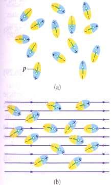 Effetti molecolai nei dielettici Dielettici con dipolo pemanente: in uesto caso le molecole polai tendono ad allineasi con il campo, ma l agitazione temica
