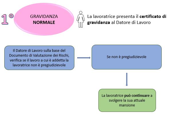 SCHEMA