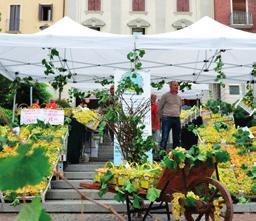 BALDI Conegliano COLLI EUGANEI FIOR D'ARANCIO DOCG SPUMA