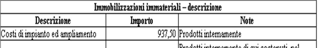 Le immobilizzazioni immateriali sono