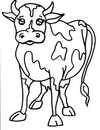 DISEGNO SPERIMENTALE 42 animali: vacche di razza frisona Gruppo 1 -somministrazione vaccino HipraMarker Live -richiamo a 21 gg Gruppo 2 : - somministrazione