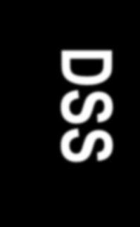 DSS - Rischio