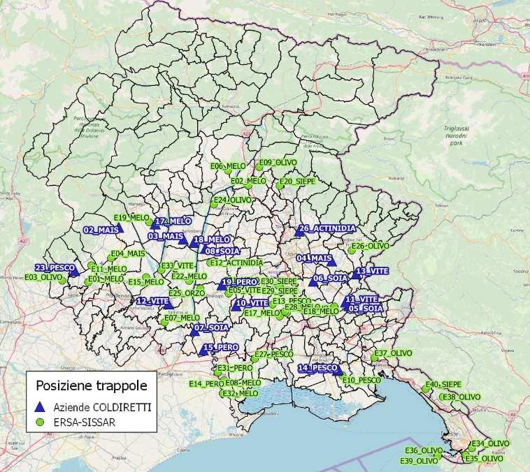 Con questa stagione è stata accolta da parte di ERSA la proposta di Coldiretti di coinvolgere nelle attività di monitoraggio direttamente le imprese agricole.