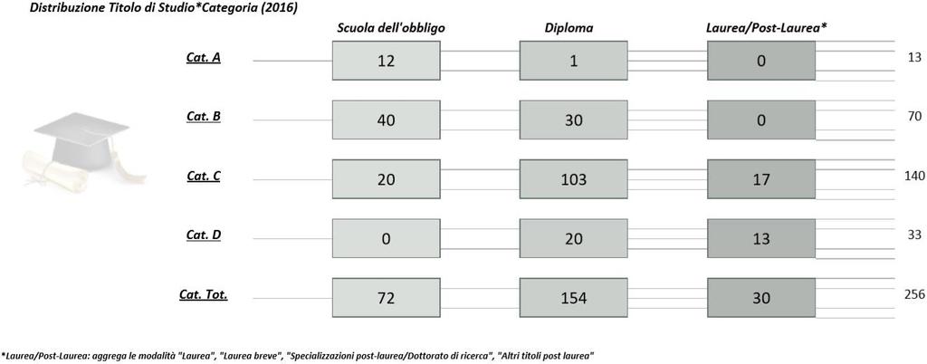 "Specializzazioni post-laurea/dottorato di ricerca", "Altri