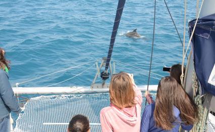 1) Delfini e Balene del nostro mare Scuola Primaria e Scuola Secondaria di Primo e Secondo Grado Escursione alla scoperta del mare e dei suoi abitanti.