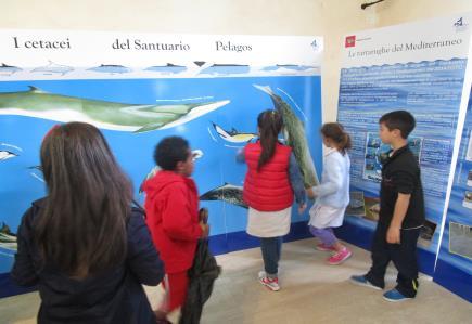 2)Mostra OTB (Osservatorio Toscano per la Biodiversità) Visita al Museo della Marineria di Viareggio, in cui si trova la Mostra permanente dell'otb allestita dal Centro CE.TU.S.