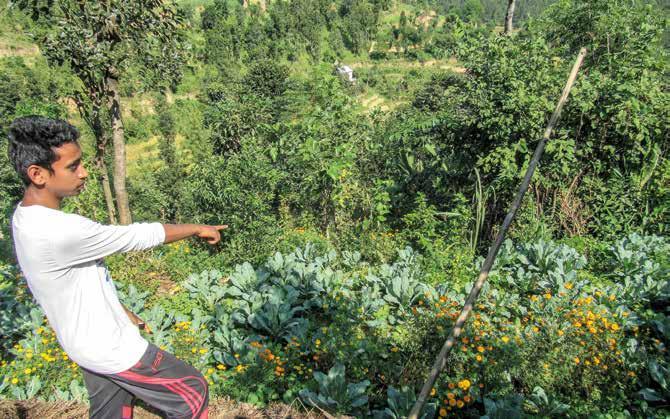 2205 I FRUTTI DEL GIARDINO: PERMACULTURA E PRATICHE SOSTENIBILI PER GLI ORTI URBANI E PERIURBANI IN NEPAL NEPAL Località: municipalità di Dulikhel e Banepa, distretto di Kavrepalanchok, Nepal.