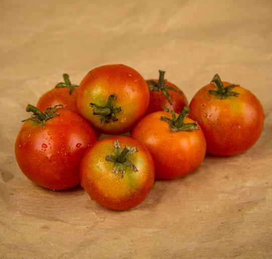 POMODORO VIGNA ROSSA POMODORO ROMA ZEBRATO POMODORO FORMAGGIO POMODORO NERO TRIFELE Frutti caratterizzati da spalle verdi, con sfumature mogano bruno tendenti al nero.