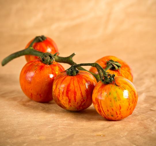 POMODORO SPECKLED ROMAN Frutti ovali, carnosi, molto saporiti, di colore rosso arancio a strisce gialle. Caratteristica l'estremità appuntita del frutto.