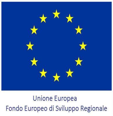 FORNITURA RELATIVA alla PROGRAMMAZIONE DEI FONDI TRUTTURALI EUROPEI 2007/2013 Avviso prot. n.