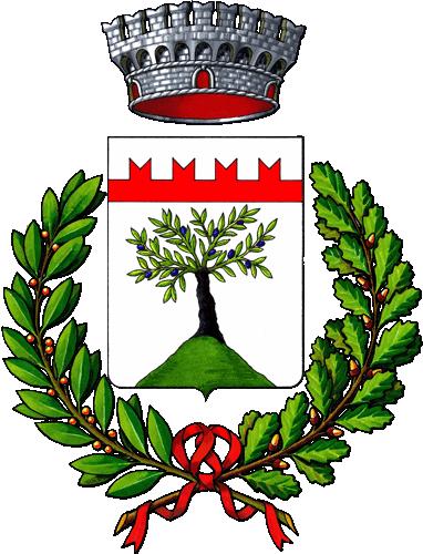Regione Piemonte Provincia di Biella Comune di
