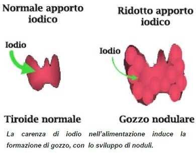 Secondo l OMS circa 1 miliardo di persone nel