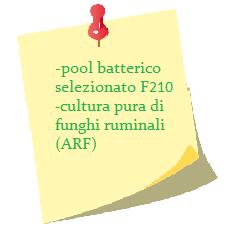 La fase di sperimentazione Scala Semi-pilota Scala banco Prova A Mono-fase di controllo Prova B Mono-fase in Bioaugmentation Prova C Bi-fase in Bioaugmentation Prova Bb