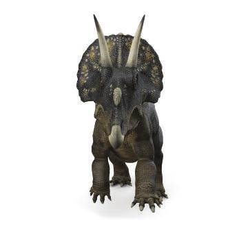 Nome Diceratopo Pronuncia: DI-ce-ra-to-po Significato: "Faccia a due corna" Dimensioni: 7 m lungh.