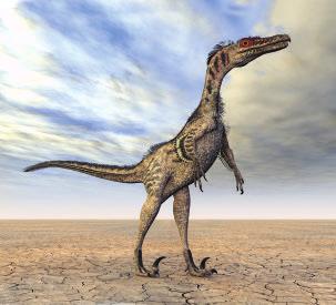 Nome Utahraptor Pronuncia: IU-ta-rap-tor Significato: "Predatore dello Utah", poiché i primi fossili furono rinvenuti nello Utah, in Nordamerica.