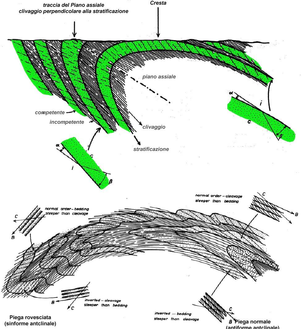 Analisi cartografica delle pieghe Rapporti