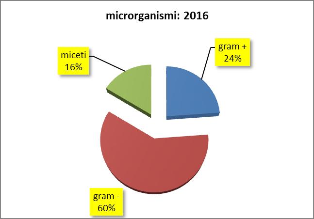 Pagina 12 di 40 Flora microbica ospedaliera: anno 2016 8 Nel 2016 si è osservata la seguente ripartizione delle specie microbiche implicate nei principali episodi infettivi (vedi anche grafico a