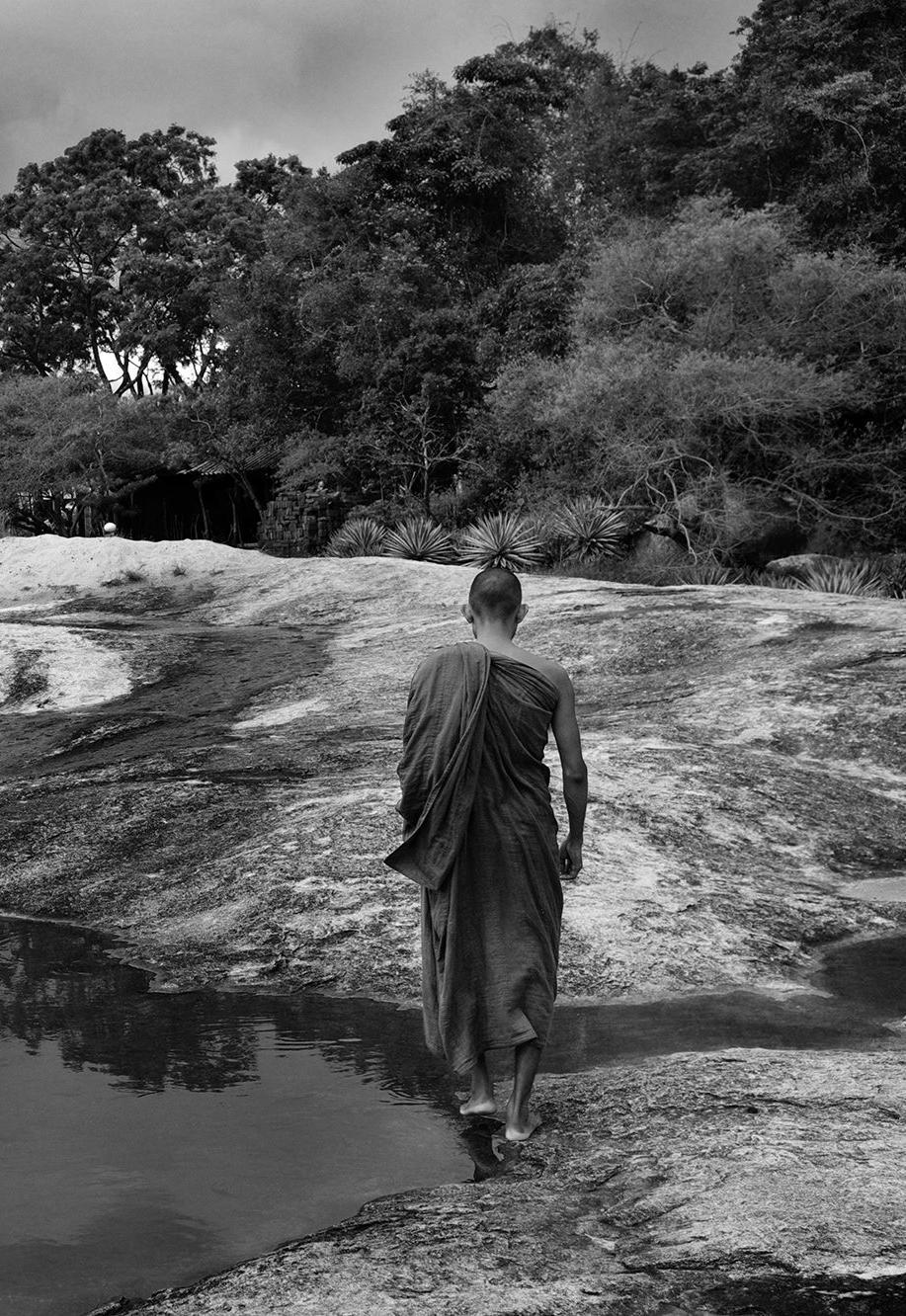 Photolivee Colleect tion Viaggio Fotografico SRI LANKA Con