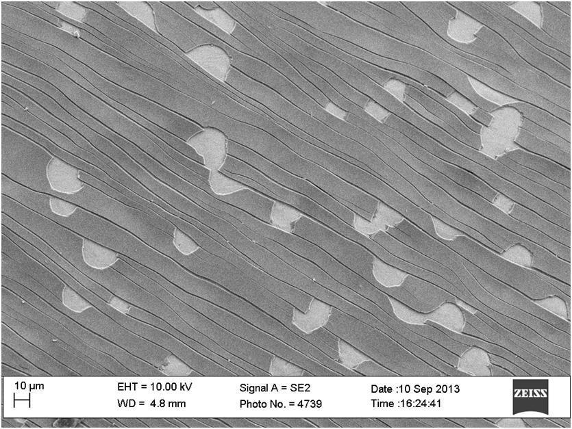 3.2 Provini con rivestimento spesso 5 µm Le micrografie successive mostrano che anche in questi provini il rivestimento di questi
