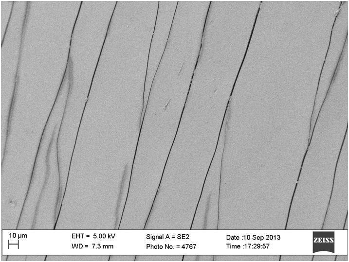 spesso 5 µm e