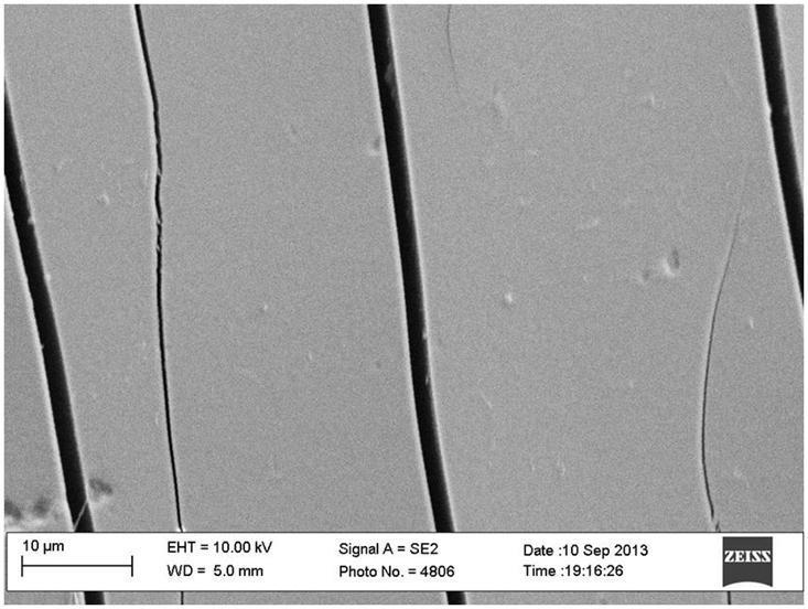 spesso 5 µm e