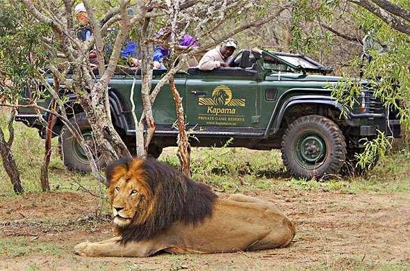 MERCOLEDI MPUMALANGA / RISERVA PRIVATA KAPAMA Dopo la colazione trasferimento via terra alla Riserva Privata di Kapama, in tempo per il pranzo. Sistemazione al Kapama River Lodge.