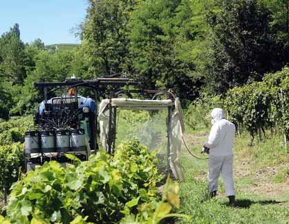 Come sono state impostate le prove Le prove sono state effettuate nel 2014 su cultivar Moscato bianco allevato a cordone speronato in due vigneti situati a Calosso (Asti).